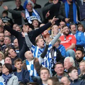 Brighton and Hove Albion Fans Celebrate Promotion to Premier League at American Express Community Stadium (17APR17) Brighton and Hove Albion Fans Celebrate Promotion to Premier League at American Express Community Stadium (17APR17)
