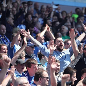 Brighton and Hove Albion Fans Celebrate at Villa Park During Championship Clash vs. Aston Villa (07MAY17)