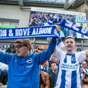 Brighton and Hove Albion Fans Celebrating at American Express Community Stadium during Sky Bet Championship Match vs Burnley (02APR16) Brighton and Hove Albion Fans Celebrating at American Express Community Stadium during Sky Bet Championship Match vs Burnley (02APR16)