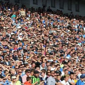 Brighton and Hove Albion Fans Cheer at the American Express Community Stadium During Pre-Season Friendly Against Atletico de Madrid (06AUG17) Brighton and Hove Albion Fans Cheer at the American Express Community Stadium During Pre-Season Friendly Against Atletico de Madrid (06AUG17)