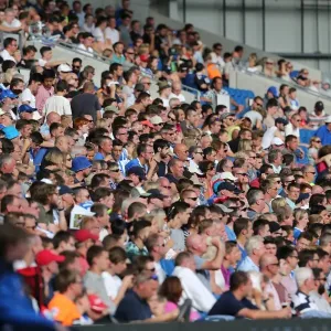 Brighton and Hove Albion Fans Cheer at American Express Community Stadium during Pre-season Friendly against Sevilla FC (2015) Brighton and Hove Albion Fans Cheer at American Express Community Stadium during Pre-season Friendly against Sevilla FC (2015)