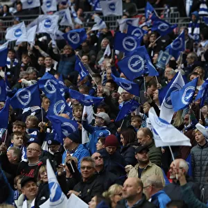 Brighton and Hove Albion Fans at the Emirates FA Cup Semi-Final vs Manchester City, Wembley Stadium (06.04.19)