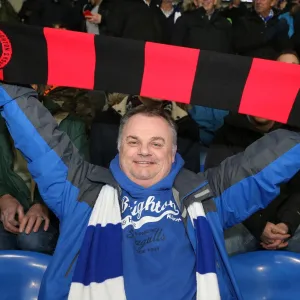 Brighton and Hove Albion Fans in Full Force: Cardiff City Stadium Showdown, February 10, 2015