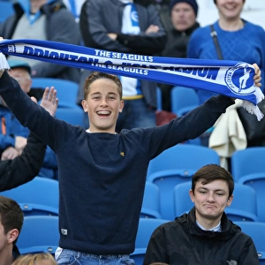 Brighton and Hove Albion Fans in Full Force: Sky Bet Championship Match vs AFC Bournemouth (10APR15)