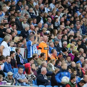 Brighton and Hove Albion Fans in Full Force at American Express Community Stadium During SkyBet Championship Match vs. Rotherham United (25th October 2014) Brighton and Hove Albion Fans in Full Force at American Express Community Stadium During SkyBet Championship Match vs. Rotherham United (25th October 2014)