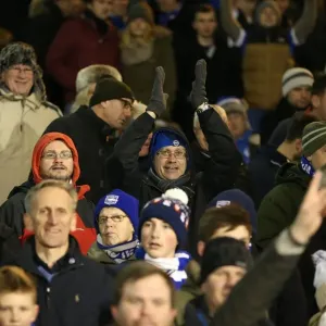 Brighton and Hove Albion Fans in Full Force at Craven Cottage (29DEC14): A Sea of Seagulls at Fulham's Ground Brighton and Hove Albion Fans in Full Force at Craven Cottage (29DEC14): A Sea of Seagulls at Fulham's Ground