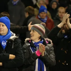 Brighton and Hove Albion Fans in Full Force at Fulham's Craven Cottage (29DEC14) Brighton and Hove Albion Fans in Full Force at Fulham's Craven Cottage (29DEC14)