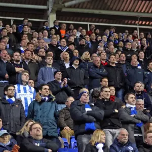 Brighton and Hove Albion Fans in Full Force at Reading's Madejski Stadium (10MAR15)