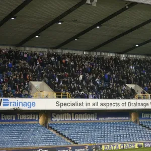 Brighton and Hove Albion Fans in Full Force: A Sea of Colors at the Millwall Championship Match (17MAR15)