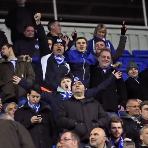 Brighton and Hove Albion Fans in Full Force: A Sea of Seagulls at Reading's Madejski Stadium (10MAR15)