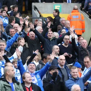 Brighton and Hove Albion Fans in Full Force: Sky Bet Championship Showdown at Norwich City, 22nd November 2014 Brighton and Hove Albion Fans in Full Force: Sky Bet Championship Showdown at Norwich City, 22nd November 2014