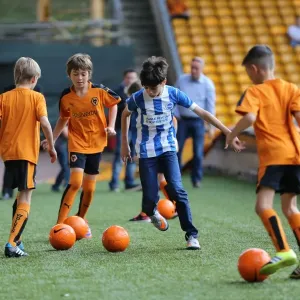 Brighton and Hove Albion Fans in Full Force at Wolverhampton Wanderers Championship Showdown, August 2015 Brighton and Hove Albion Fans in Full Force at Wolverhampton Wanderers Championship Showdown, August 2015