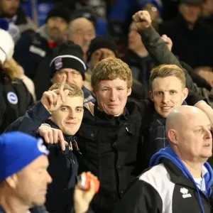 Brighton and Hove Albion Fans at Fulham's Craven Cottage during Sky Bet Championship Match (29DEC14) Brighton and Hove Albion Fans at Fulham's Craven Cottage during Sky Bet Championship Match (29DEC14)