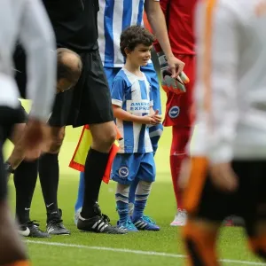 Brighton and Hove Albion Fans at Molineux Stadium during Sky Bet Championship Match vs. Wolverhampton Wanderers (September 2015) Brighton and Hove Albion Fans at Molineux Stadium during Sky Bet Championship Match vs. Wolverhampton Wanderers (September 2015)