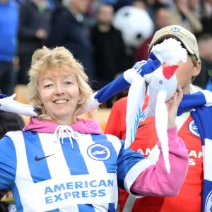 Brighton and Hove Albion Fans at Norwich City's Carrow Road Stadium, EFL Sky Bet Championship 2017