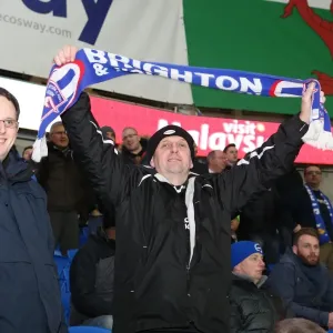 Brighton and Hove Albion Fans Passionate Show of Support at Cardiff City Stadium (10FEB15) Brighton and Hove Albion Fans Passionate Show of Support at Cardiff City Stadium (10FEB15)