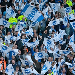 Brighton and Hove Albion Fans in Play-Off Frenzy: Sky Bet Championship Clash vs. Sheffield Wednesday (16MAY16)