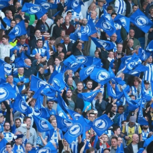 Brighton and Hove Albion Fans in Play-Off Frenzy: Waving Flags Against Sheffield Wednesday (16 May 2016)