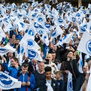 Brighton and Hove Albion Fans in Play-Off Frenzy: Sky Bet Championship Clash vs. Sheffield Wednesday (16MAY16) Brighton and Hove Albion Fans in Play-Off Frenzy: Sky Bet Championship Clash vs. Sheffield Wednesday (16MAY16)