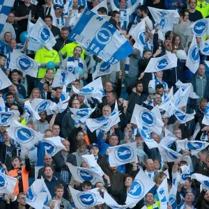 Brighton and Hove Albion Fans in Play-Off Frenzy: Sky Bet Championship Clash vs. Sheffield Wednesday (16MAY16) Brighton and Hove Albion Fans in Play-Off Frenzy: Sky Bet Championship Clash vs. Sheffield Wednesday (16MAY16)