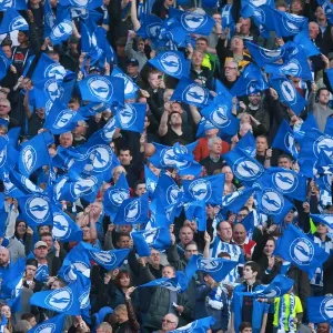 Brighton and Hove Albion Fans in Play-Off Frenzy: Sky Bet Championship Clash vs. Sheffield Wednesday (16MAY16) Brighton and Hove Albion Fans in Play-Off Frenzy: Sky Bet Championship Clash vs. Sheffield Wednesday (16MAY16)