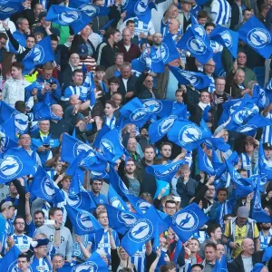 Brighton and Hove Albion Fans in Play-Off Frenzy: Waving Flags Against Sheffield Wednesday (16 May 2016) Brighton and Hove Albion Fans in Play-Off Frenzy: Waving Flags Against Sheffield Wednesday (16 May 2016)