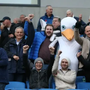 Brighton and Hove Albion Fans with Seagull Celebrating at American Express Community Stadium vs. Wigan Athletic (Nov. 2014)