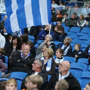 Brighton & Hove Albion Fans in Full Support: A Sea of Seagulls Against Blackburn Rovers (Nov 2014)
