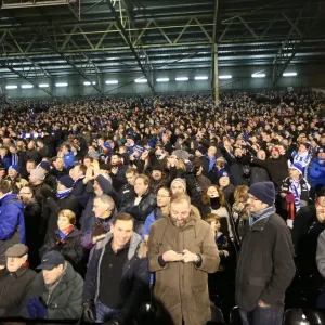 Brighton & Hove Albion Fans in Full Swing: A Passionate Atmosphere at Fulham's Craven Cottage (29DEC14) Brighton & Hove Albion Fans in Full Swing: A Passionate Atmosphere at Fulham's Craven Cottage (29DEC14)