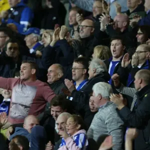 Brighton & Hove Albion Fans Triumph: Celebrating at the SkyBet Championship Match vs. Bournemouth, 1st November 2014 Brighton & Hove Albion Fans Triumph: Celebrating at the SkyBet Championship Match vs. Bournemouth, 1st November 2014
