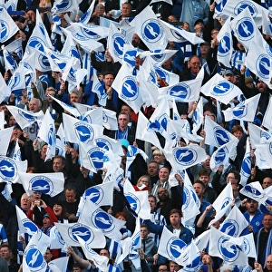 Brighton and Hove Albion Fans Unite: Play-Off Tension at Sky Bet Championship Clash vs. Sheffield Wednesday (16 May 2016)