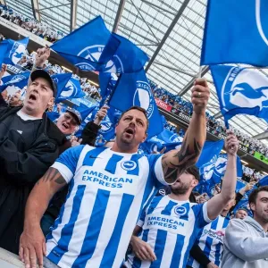 Brighton and Hove Albion Fans Unite: Play-Off Tension at American Express Community Stadium (16MAY16) Brighton and Hove Albion Fans Unite: Play-Off Tension at American Express Community Stadium (16MAY16)