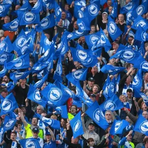 Brighton and Hove Albion Fans Unite: Play-Off Tension at American Express Community Stadium (16MAY16) Brighton and Hove Albion Fans Unite: Play-Off Tension at American Express Community Stadium (16MAY16)