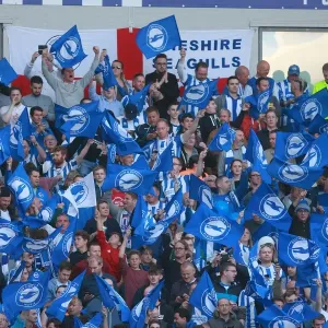 Brighton and Hove Albion Fans Unite: Play-Off Tension at American Express Community Stadium (16MAY16) Brighton and Hove Albion Fans Unite: Play-Off Tension at American Express Community Stadium (16MAY16)