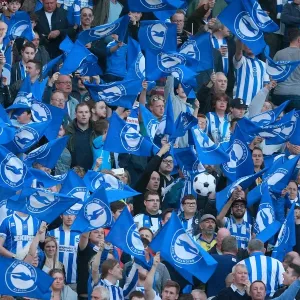 Brighton and Hove Albion Fans Unite: Play-Off Tension at the American Express Community Stadium (16MAY16) Brighton and Hove Albion Fans Unite: Play-Off Tension at the American Express Community Stadium (16MAY16)
