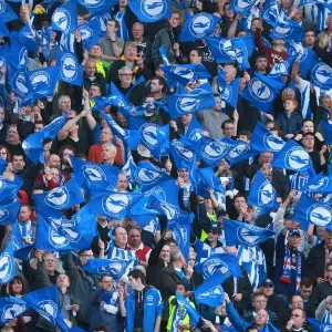 Brighton and Hove Albion Fans Unite: Play-Off Tension at American Express Community Stadium (16MAY16) Brighton and Hove Albion Fans Unite: Play-Off Tension at American Express Community Stadium (16MAY16)