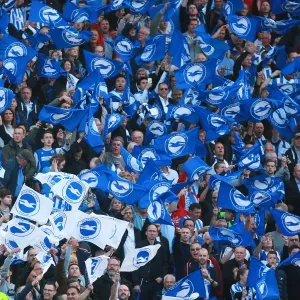 Brighton and Hove Albion Fans Unite: Play-Off Tension at American Express Community Stadium (16MAY16) Brighton and Hove Albion Fans Unite: Play-Off Tension at American Express Community Stadium (16MAY16)