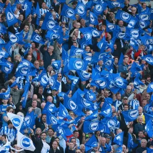 Brighton and Hove Albion Fans Unite: Play-Off Tension at American Express Community Stadium (16MAY16) Brighton and Hove Albion Fans Unite: Play-Off Tension at American Express Community Stadium (16MAY16)