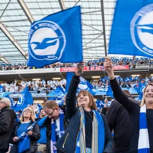 Brighton and Hove Albion Fans Unite: Play-Off Tension Against Sheffield Wednesday (16 May 2016) Brighton and Hove Albion Fans Unite: Play-Off Tension Against Sheffield Wednesday (16 May 2016)