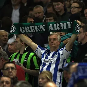 Brighton & Hove Albion Fans Unite: A Sea of Support for Plymouth Argyle at the Amex Brighton & Hove Albion Fans Unite: A Sea of Support for Plymouth Argyle at the Amex