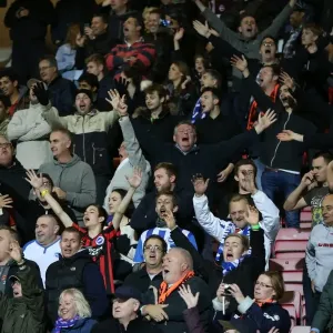 Brighton & Hove Albion Fans United: SkyBet Championship Showdown at Bournemouth's Goldsands Stadium (1st November 2014) Brighton & Hove Albion Fans United: SkyBet Championship Showdown at Bournemouth's Goldsands Stadium (1st November 2014)