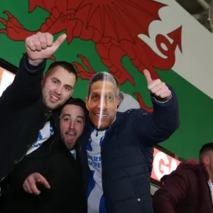 Brighton and Hove Albion Fans Unwavering Support at Cardiff City Stadium, Sky Bet Championship 2015 Brighton and Hove Albion Fans Unwavering Support at Cardiff City Stadium, Sky Bet Championship 2015