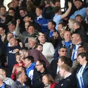 Brighton and Hove Albion Fans Unwavering Support at Middlesbrough Championship Match, May 2015