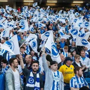 Brighton and Hove Albion Fans Wave Flags in Play-Off Tension (16MAY16) Brighton and Hove Albion Fans Wave Flags in Play-Off Tension (16MAY16)