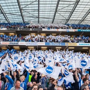 Brighton and Hove Albion Fans Wave Flags in Play-Off Tension: Sky Bet Championship Showdown vs. Sheffield Wednesday (16MAY16) Brighton and Hove Albion Fans Wave Flags in Play-Off Tension: Sky Bet Championship Showdown vs. Sheffield Wednesday (16MAY16)