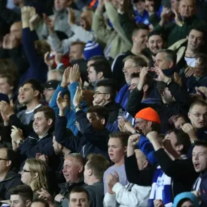 Brighton & Hove Albion FC: Celebrating Promotion to Premier League at American Express Community Stadium (November 2014) Brighton & Hove Albion FC: Celebrating Promotion to Premier League at American Express Community Stadium (November 2014)