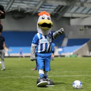Brighton & Hove Albion FC: Fans Penalty Shootout with Casper Ankergren at Young Seagulls Open Training Session (July 31, 2015)