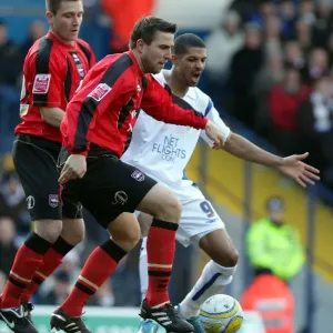 Brighton & Hove Albion FC: 2009-10 Away Games at Leeds United Brighton & Hove Albion FC: 2009-10 Away Games at Leeds United