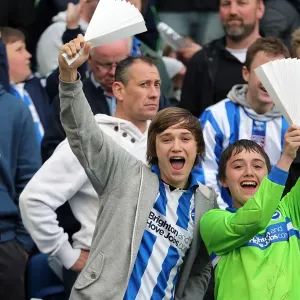 Brighton & Hove Albion FC: The Electric Atmosphere of the Amex Stadium (2012-2013) - Unforgettable Crowd Moments Brighton & Hove Albion FC: The Electric Atmosphere of the Amex Stadium (2012-2013) - Unforgettable Crowd Moments