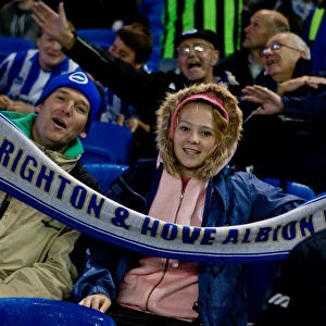 Brighton & Hove Albion FC: Electric Atmosphere at the Amex Stadium (2012-2013)